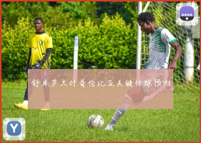 舒库罗夫对哥伦比亚关键传球预测