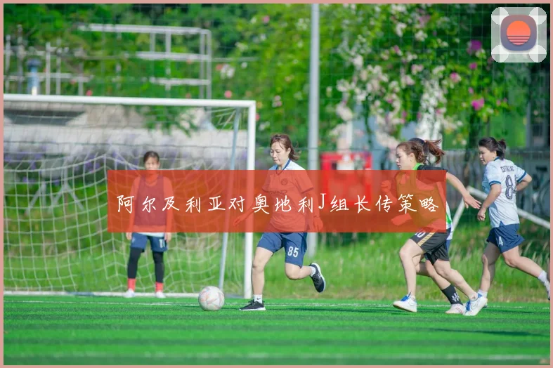 阿尔及利亚对奥地利J组长传策略