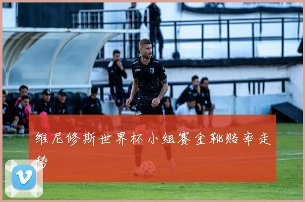 维尼修斯世界杯小组赛金靴赔率走势