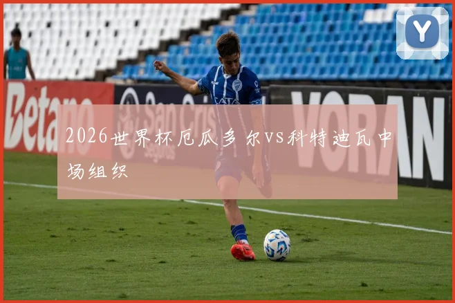 2026世界杯厄瓜多尔vs科特迪瓦中场组织