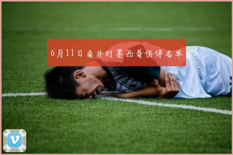 6月11日南非对墨西哥伤停名单