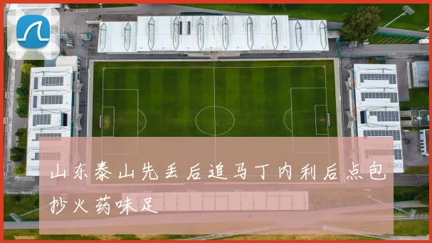山东泰山先丢后追马丁内利后点包抄火药味足