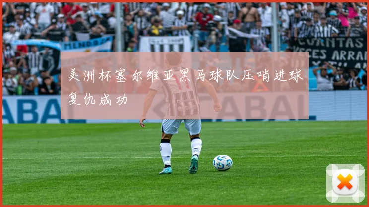 美洲杯塞尔维亚黑马球队压哨进球复仇成功