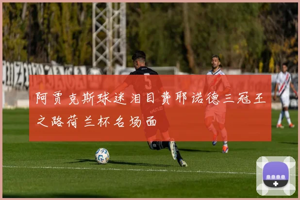 阿贾克斯球迷泪目费耶诺德三冠王之路荷兰杯名场面