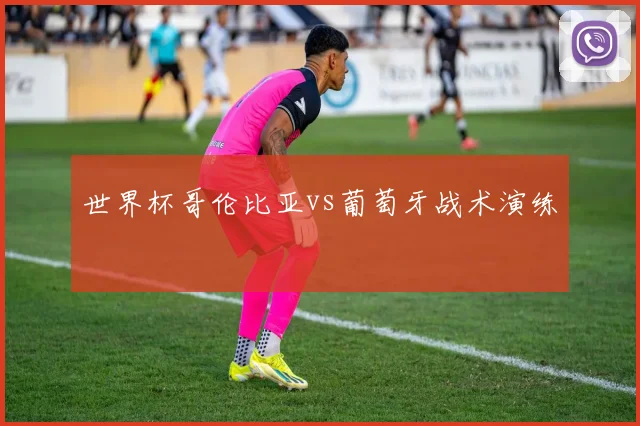 世界杯哥伦比亚vs葡萄牙战术演练