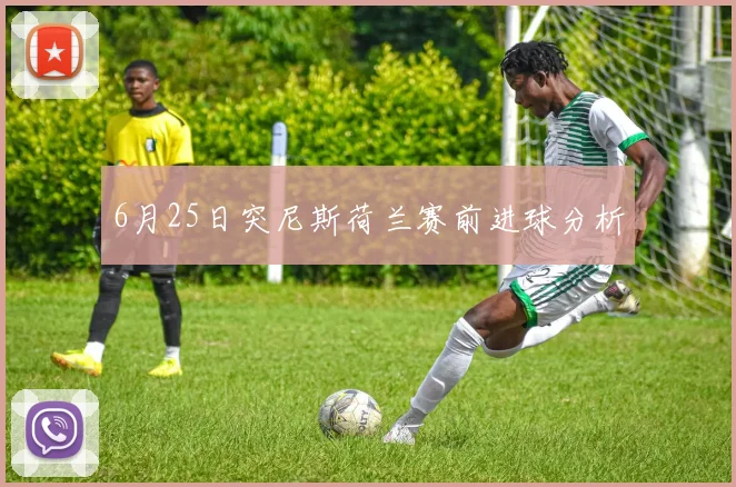 6月25日突尼斯荷兰赛前进球分析