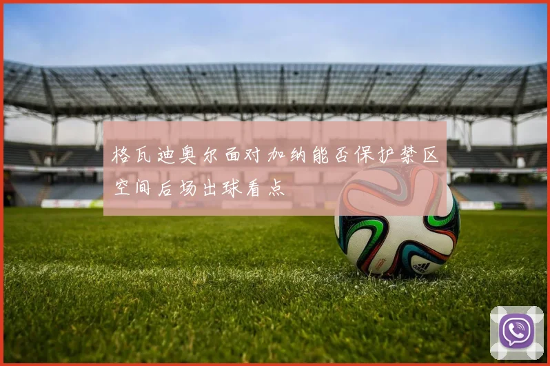 格瓦迪奥尔面对加纳能否保护禁区空间后场出球看点