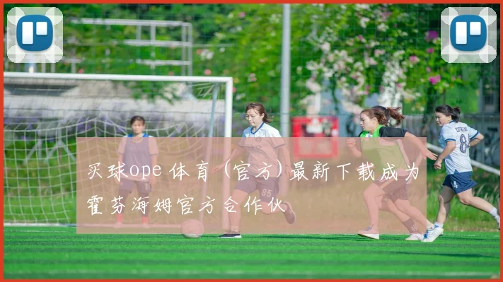 买球ope 体育 (官方)最新下载成为霍芬海姆官方合作伙